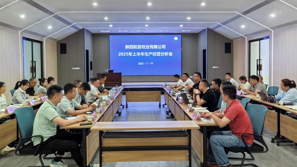 陽晨牧業召開2025年度上半年總結分析會